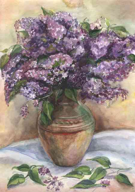 фотогалерея_сирень