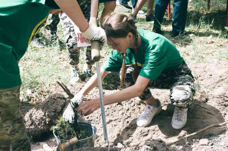 слет лесничеств