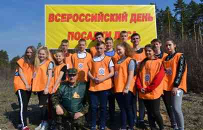 Юные защитники леса