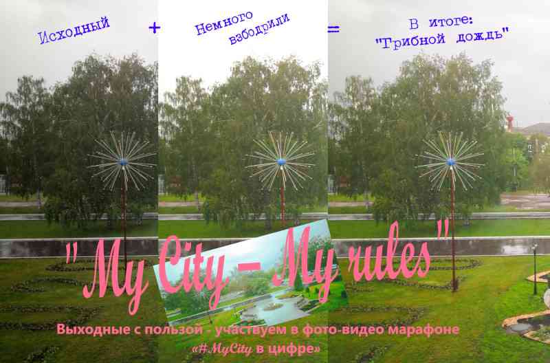 mysity