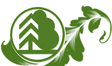 лесничества