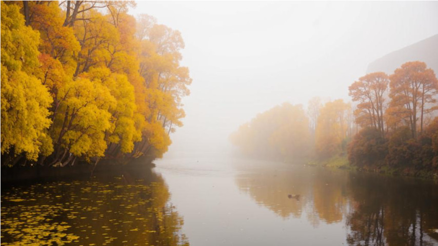 конкурс